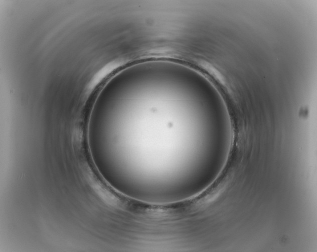 X0000091941458200709051512