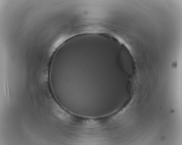 X0000091941459200709051512