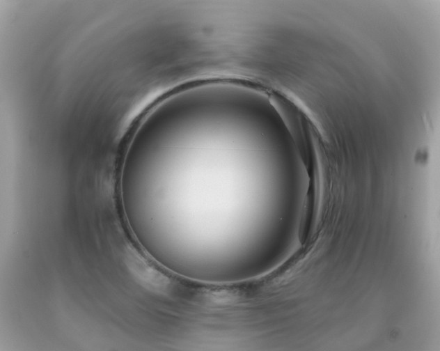 X0000091941460200709051512