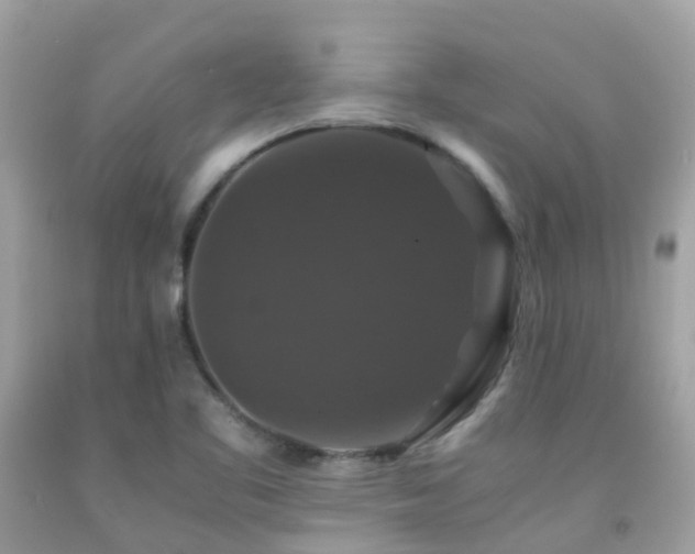 X0000091941461200709051512