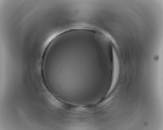 X0000091941463200709051512