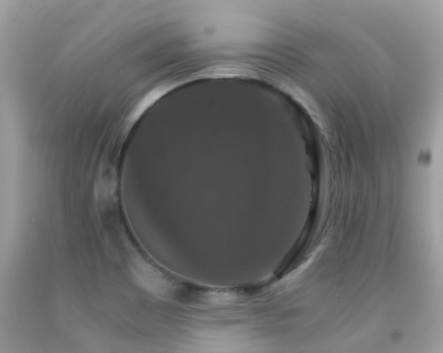 X0000091941465200709051512