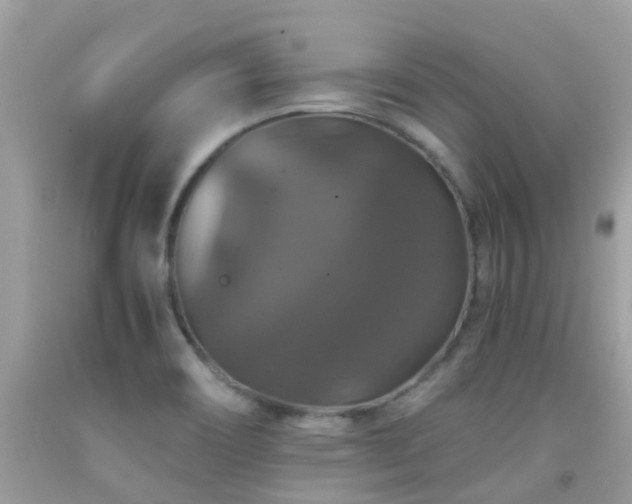 X0000091941466200709051512