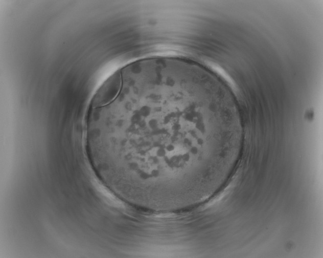 X0000091941467200709051512