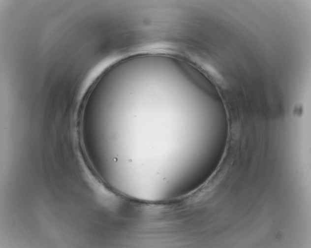 X0000091941470200709051512