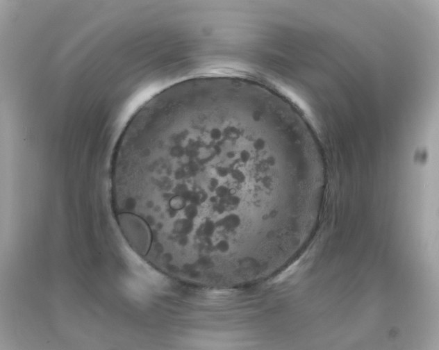 X0000091941471200709051512