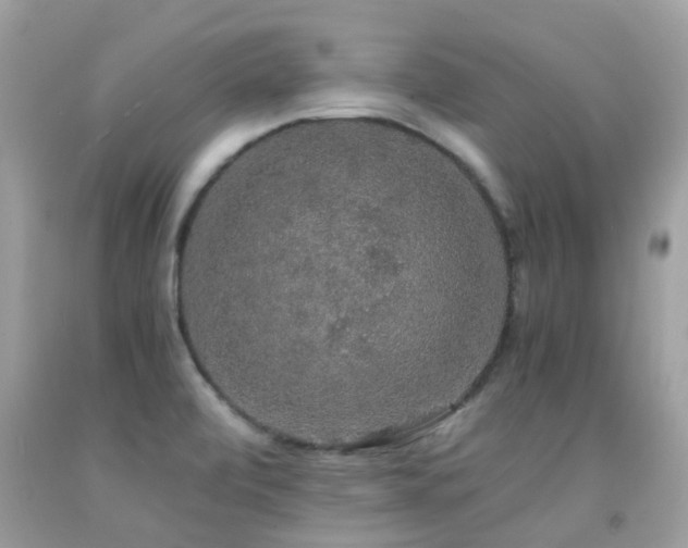 X0000091941472200709051512