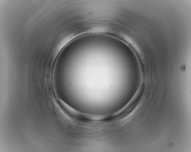 X0000091941473200709051512