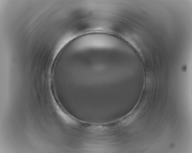 X0000091941474200709051512