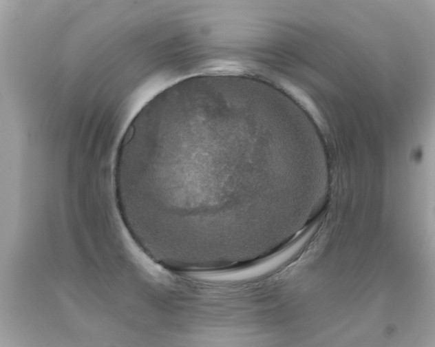 X0000091941475200709051512