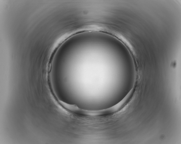 X0000091941477200709051512