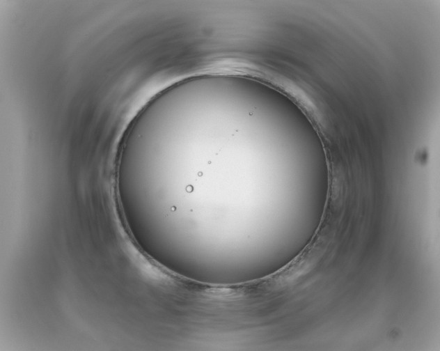 X0000091941478200709051512