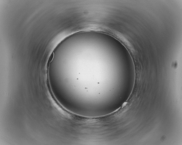 X0000091941479200709051512