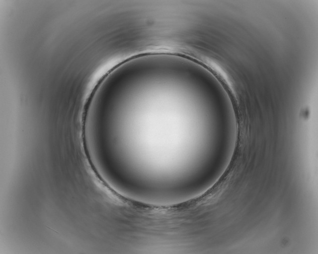 X0000091941480200709051512