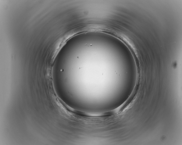 X0000091941481200709051512