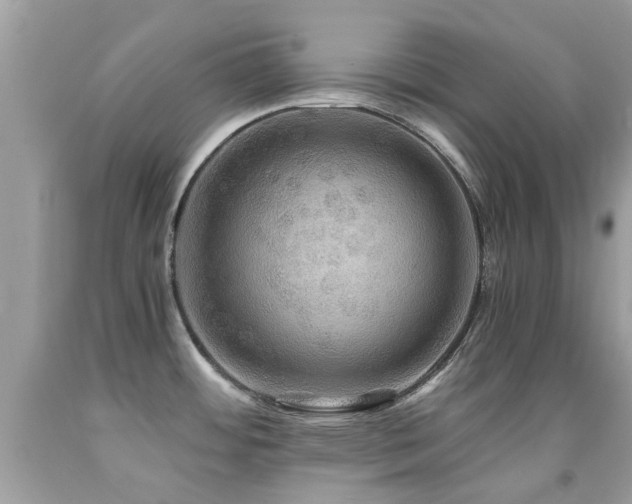 X0000091941484200709051512