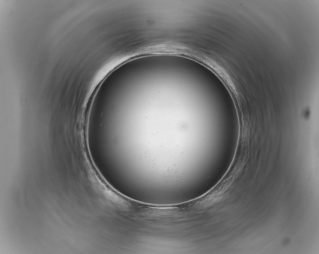 X0000091941486200709051512