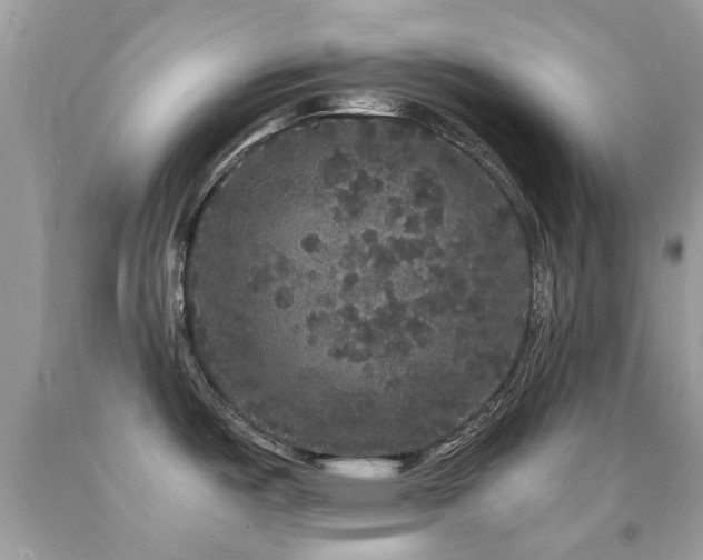 X0000091941487200709051512