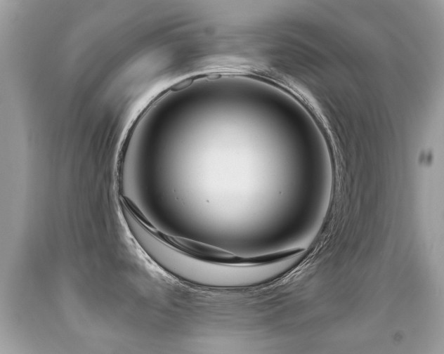 X0000091941488200709051512