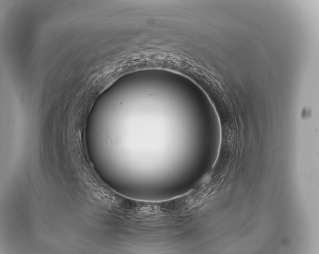 X0000091941489200709051511