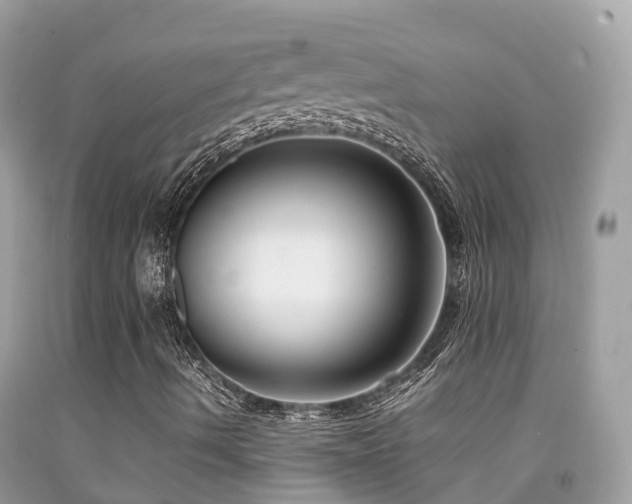 X0000091941490200709051511