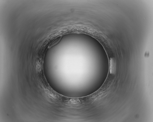 X0000091941491200709051511