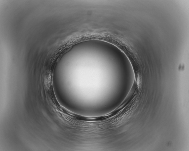 X0000091941492200709051511