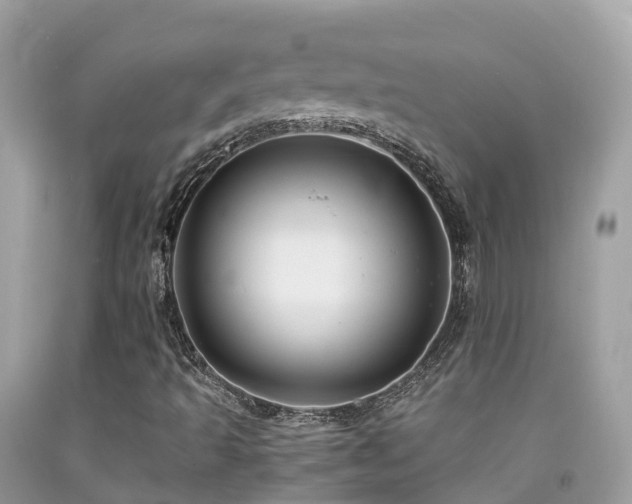 X0000091941493200709051511