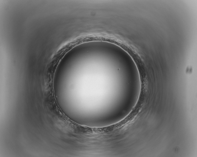 X0000091941494200709051511