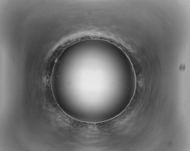 X0000091941495200709051511