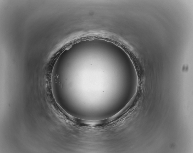 X0000091941496200709051511