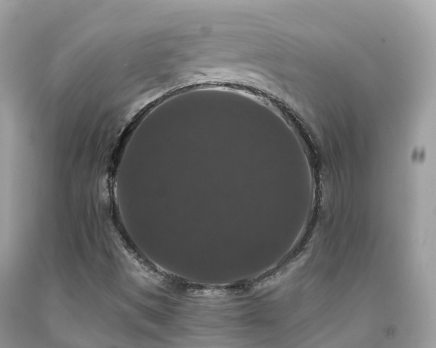 X0000091941497200709051511