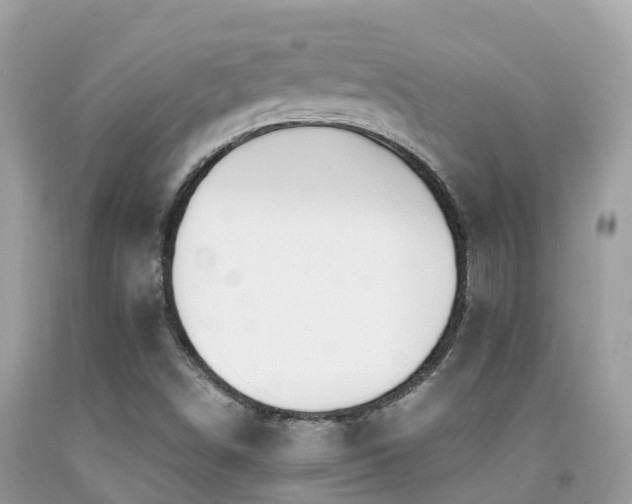 X0000091941498200709051511