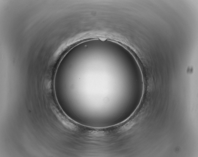 X0000091941499200709051511