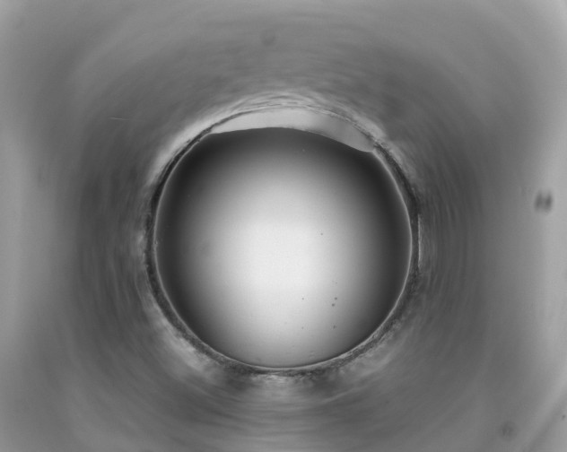 X0000091941500200709051511