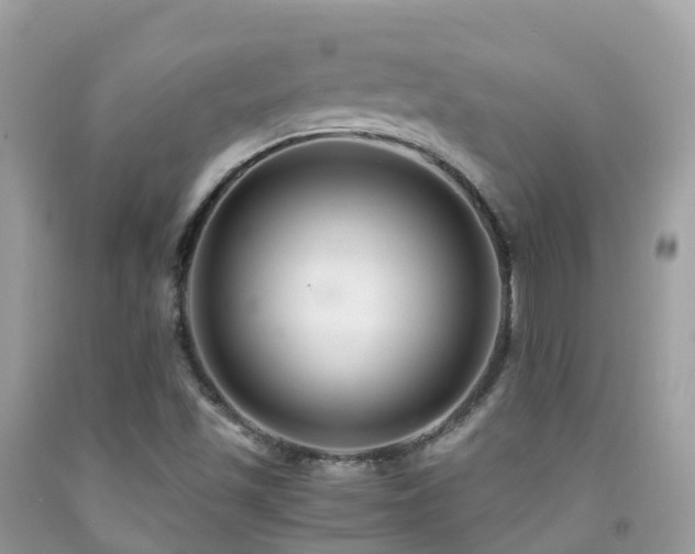 X0000091941501200709051511