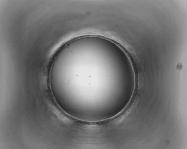 X0000091941502200709051511