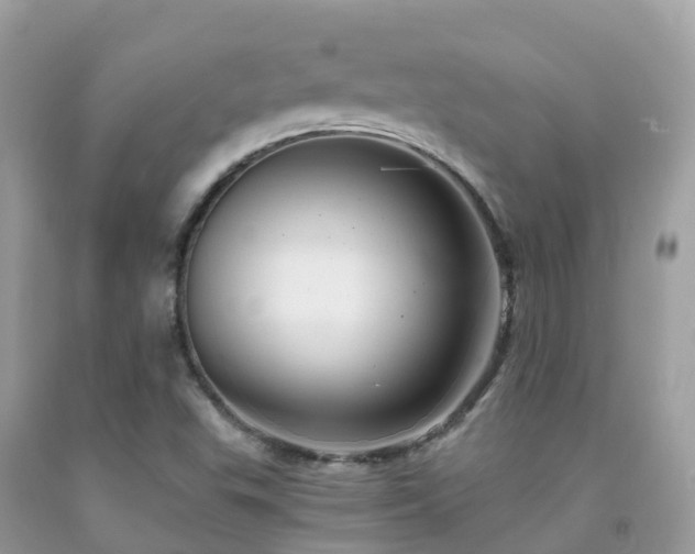 X0000091941503200709051511