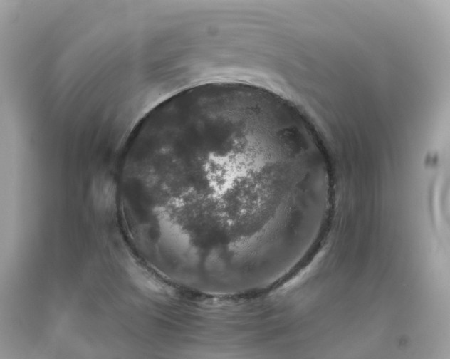 X0000091941505200709051511