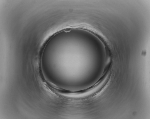 X0000091941506200709051511