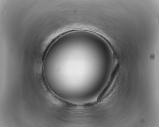 X0000091941507200709051511