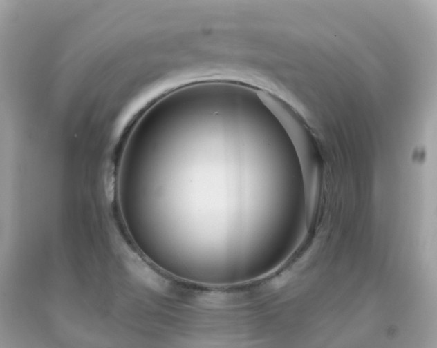 X0000091941510200709051512