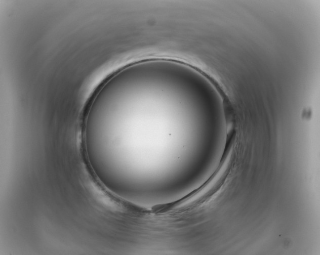 X0000091941511200709051512