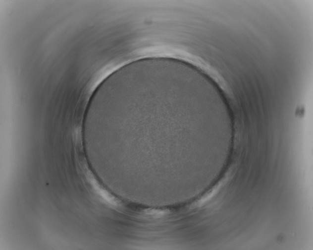 X0000091941513200709051512