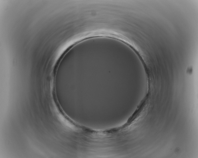 X0000091941515200709051512