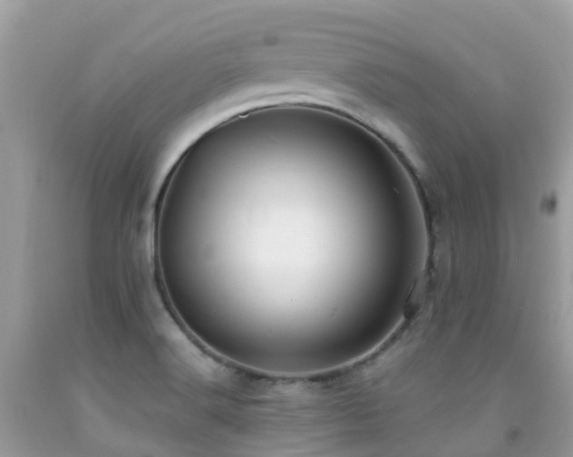 X0000091941516200709051512