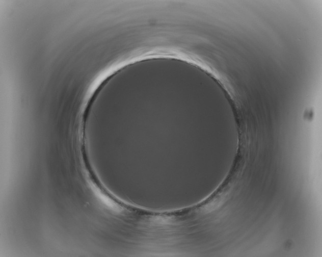 X0000091941519200709051512