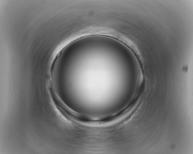 X0000091941520200709051512