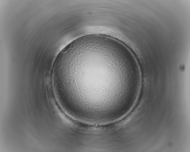 X0000091941521200709051512