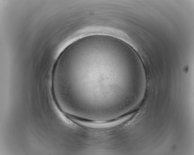 X0000091941523200709051512